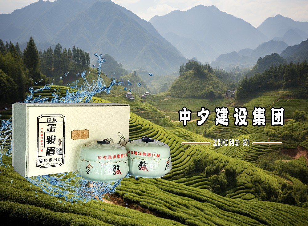 中夕建设集团